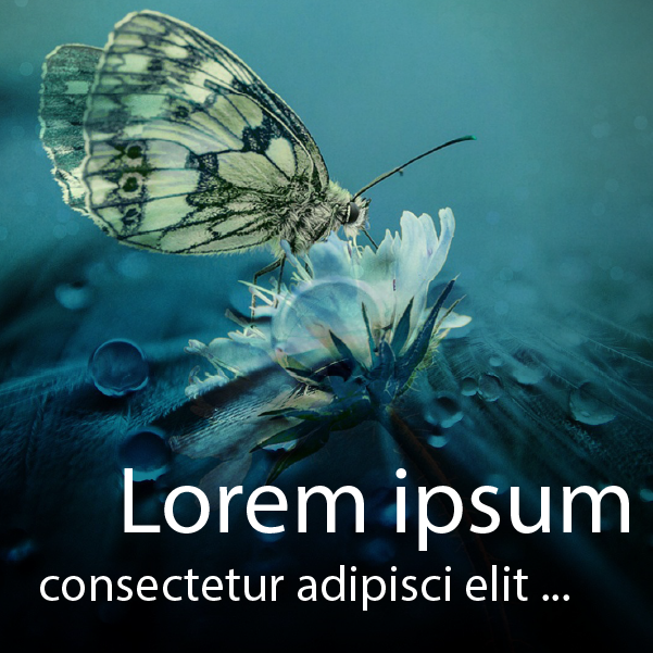 Loremipsum.pdf